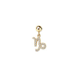 Zodiac Sign Slide Charm