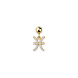 Zodiac Sign Slide Charm