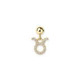 Zodiac Sign Slide Charm