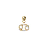 Zodiac Sign Slide Charm