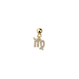Zodiac Sign Slide Charm