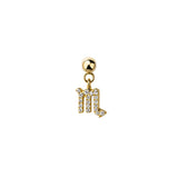 Zodiac Sign Slide Charm