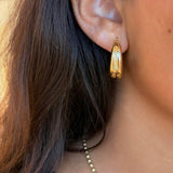 Double Dôme Hoops
