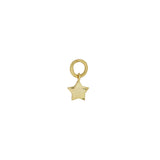 Star Hoop Charm